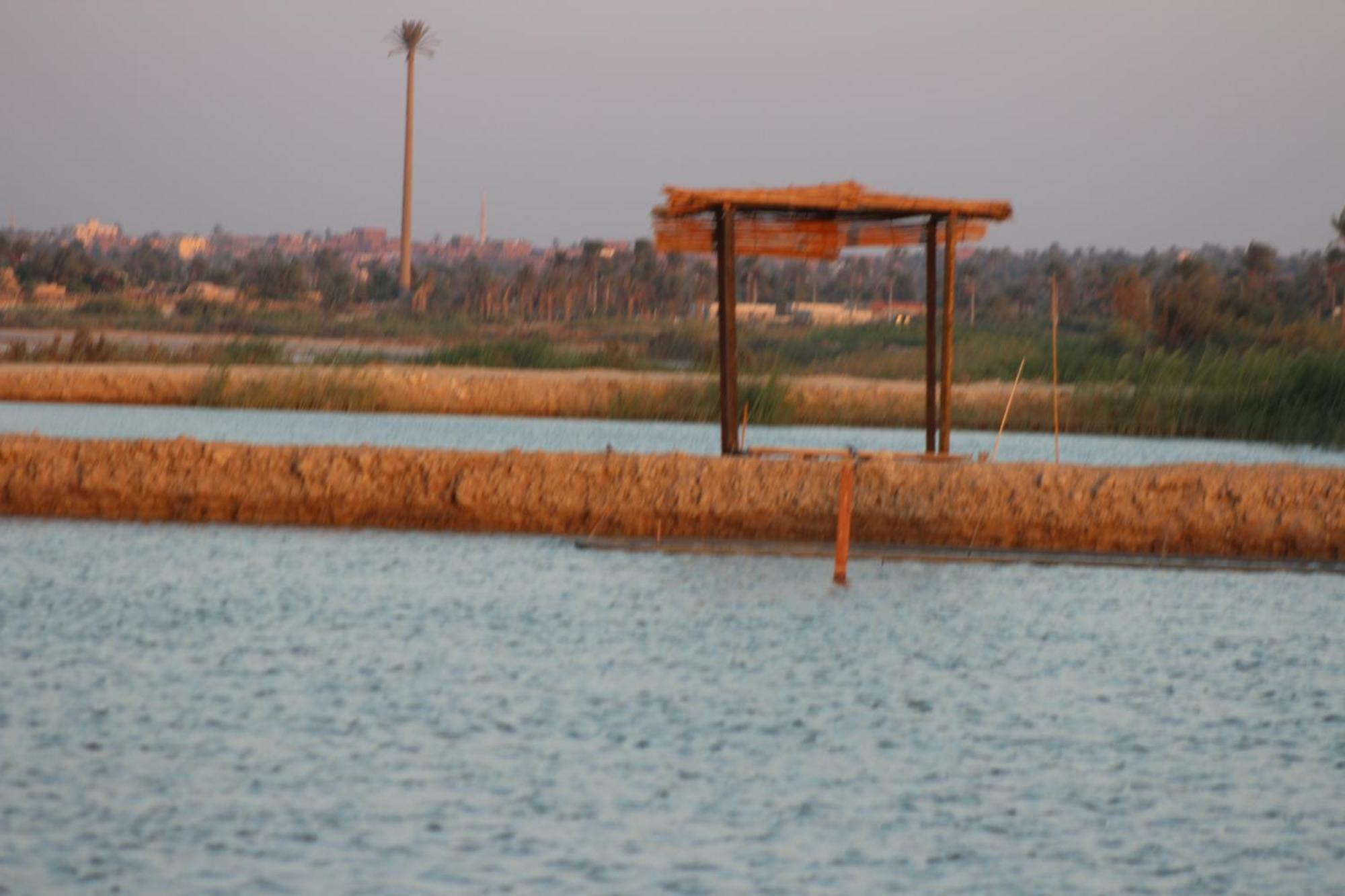 Kom El Dikka Agri Lodge ‘Izbat an Nāmūs Extérieur photo